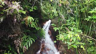 HIKING KLEDANG HILL with DJI m2p \u0026 osmo pocket