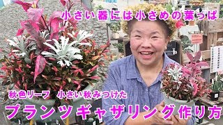 秋の小さな寄せ植えギャザリングの作り方ちっちゃな秋みつけた【プランツギャザリングの作り方】6分32秒／花創人ガーデニング教室