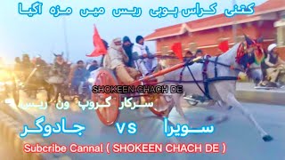 Jadugar.. vs.. Sawera Horse..Race.. win.. Jadugar.. Horse.. ASAD.. ALI || SHOKEEN CHACH DE