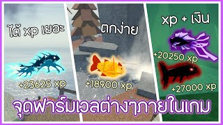 แนะนำจุดฟาร์ม exp และของจำเป็น | Roblox Fisch