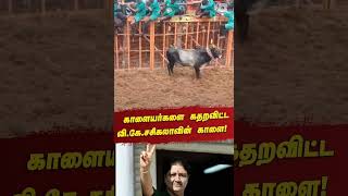 அவனியாபுரம் ஜல்லிக்கட்டில் #முதல் பரிசு 10 லட்சம் மதிப்பு அதிமுக  பொதுச்செயலாளர் #சசிகலா காளை