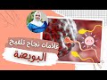 ما هي علامات نجاح الحمل، أو ما هي علامات نجاح تلقيح البويضة بالحيوان المنوي؟