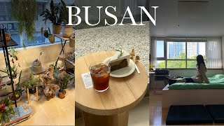 Vlog. A solo trip to Busan _ Props Shop tour First GV at the Busan International Short Film Festival