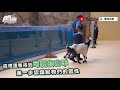 北部最大「xpark」水族館8／7開幕！13個必看亮點：12公尺巨型水槽、企鵝咖啡廳【食尚玩家帶你玩樂】