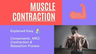 Muscle Contraction and Relaxation Anatomy Step-by-Step #musclecontraction