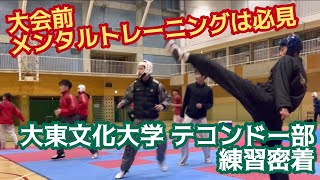 【メンタルトレーニングは必見】大東文化大学テコンドー部練習密着