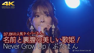 【 歌うま 】名前と裏腹の美しい歌姫！路上ライブとは一変、箱ライブではドレッシーなんです。Never Grow Up / ちゃんみな（ covered by ぶたまん ）4K映像