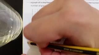 Step function word problem #3