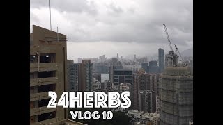 廿四味 24Herbs Vlog 10 Typhoon Signal 10 in Hong Kong