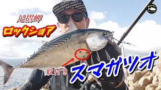 【ロックショア】　　　　　　　　　　足摺岬の地磯で最高に旨い魚が連発！！