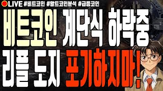 [실시간] 비트코인 계단식 하락중 리플 도지코인 포기하지마! 엑스알피 블러 유엑스링크 모카네트워크 알트코인 폭락 2월 24일 오전 라이브 비트코인 불장