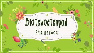 Steinerbos Belevenispark - Blotevoetenpad