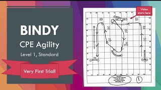 Bindy - CPE Agility - Level 1, Standard - 2019.10.26