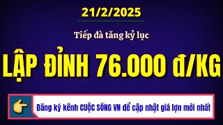 Giá heo hơi ngày hôm nay 21/2/2025 || Tiếp đà tăng kỷ lục - Miền Nam lập đỉnh 76.000 đồng/kg