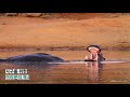 wwf living planet climate film 기후위기에 대응하는 해법