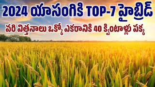 యాసంగి కి TOP_7 హైబ్రిడ్ వరి రకాలు|ఎకరానికి 40 క్వింటాళ్ల దిగుబడితో హైబ్రిడ్ 350 పైన వరి గింజల రకాలు