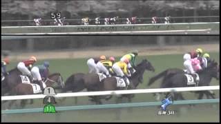 2013年 3歳未勝利 / デニムアンドルビー