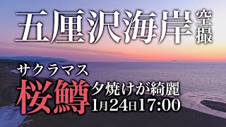 【桜鱒釣り】1月24日北海道 檜山 五厘沢海岸 空撮【海サクラマス】