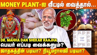 குலதெய்வ அருளை முழுமையாக பெற இதை செய்யுங்க..| Mahha Dan Shekar Raajha | Name Change Numerology