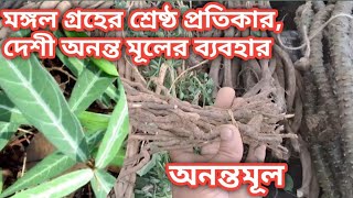 মঙ্গল গ্রহের শ্রেষ্ঠ প্রতিকার। দেশী অনন্ত মূলের ব্যবহার।  #অনন্তমূল  #Anantamul