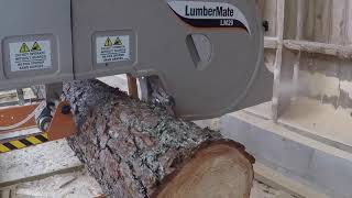 Kjell produce his own lumber with Norwood Lumbermate LM29