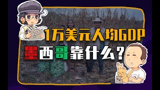 【睡前消息240】人均GDP1万$，为啥墨西哥没啥好消息？