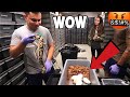 EPIC SNAKE EGG REMOVAL AND GIVEAWAY