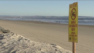 Coronado calling for local emergency declaration over sewage pollution