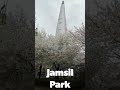 Jamsil and Yeouido Park Cherry blossom #shorts #cherryblossom #southkorea