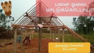 Palm Leaf Shed Thatching for Diary Farm - பனை ஓலை மாட்டு கொட்டாய்