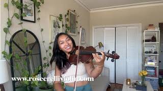 Unwritten Violin Cover -Natasha Bedingfield  - Wedding Violinist - San Francisco Violinist -