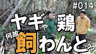 鶏って笹食べるらしいよ？ヤギって雑草食べるらしいよ？それなのになんで飼わないの？