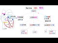 心電図：暗記からの卒業 124話 narrow qrs 頻拍1　p波不明