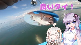 【VOICEROIDフィッシング】夏のタイ釣り！【タイラバ】