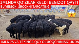 😱1MLNDA QO'ZILAR KELDI BEGIZOT QAYTI UZOQ KUTILGAN VEDIO REKORT QO'YISHNI YORVORDI