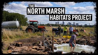 The North Marsh Habitats Project #Rewilding London #londonwildlife