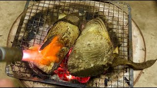 島の海産物と筍掘りをし筍の究極の食べ方をしてみた。