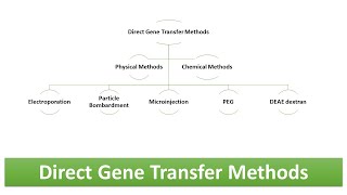 Direct Gene Transfer Methods: Physical \u0026 Chemical Methods - Advantages and Limitations