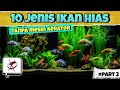 part 2 || 10 jenis Ikan hias Yang bisa dipelihara Tanpa mesin oksigen atau aerator