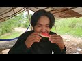 very good ripe watermelon ញាំផ្លែឪឡឹកទុំល្អខ្លាំងណាស់ជាតិៗ