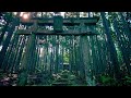 【trip to kyoto】京北 賀茂神社｜4k｜｜京都｜kamo shrine｜