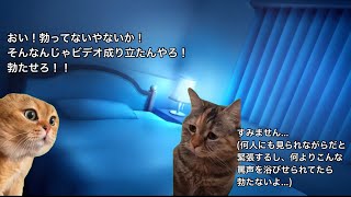 下心満載でA◯男優に応募した奴の末路#猫ミーム #猫マニ