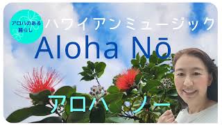 【ハワイアンミュージック】アロハ ノー Aloha No