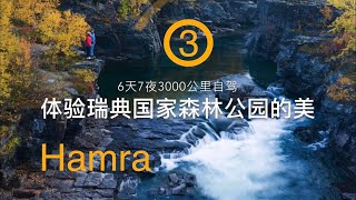 瑞典国家公园Sweden national parks - Hamra 6天3000公里自驾 体验瑞典国家公园的美 3000km driving in 6d VLOG 18