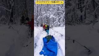 【3分間耐久動画】②採取したクリスマスツリー用に使うトドマツの木を運ぶぞ〜🎄突哨山カタクリ広場🌳北海道旭川市✨#shorts #トレーシー #スティーブ #旭川市 #雪景色 #クリスマスツリー