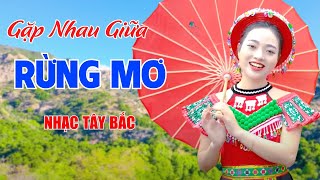 Gặp Nhau Giữa Rừng Mơ, Chín Bậc Tình Yêu - LK Nhạc Tây Bắc Vang Khắp Núi Đồi Siêu Hay - Ngọc Khánh
