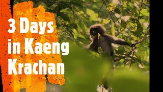 3 Days in Kaeng Krachan