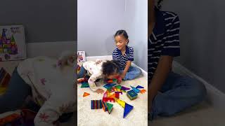 EverPlay EverPlayToys Explore STEM-inspired creativity with educational fun