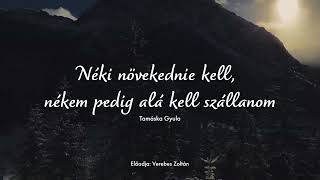 Versek az Áhítathoz | Tamáska Gyula: Néki növekednie kell, nékem pedig alá kell szállanom