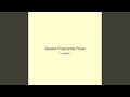 Serene Fragments Pulse